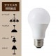 2ĥåȡ1449ߡLEDŵ E26 60W ŵ ۸ 810lm ʥ ݥåȥ饤