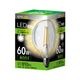 LED�ŵ� E26���� 60W������810�롼��������������ס����� �ե������ ���ꥢ�ŵ奿���� �ܡ����ŵ�� �����ǥꥢ ��ȥ� HDGC60N1