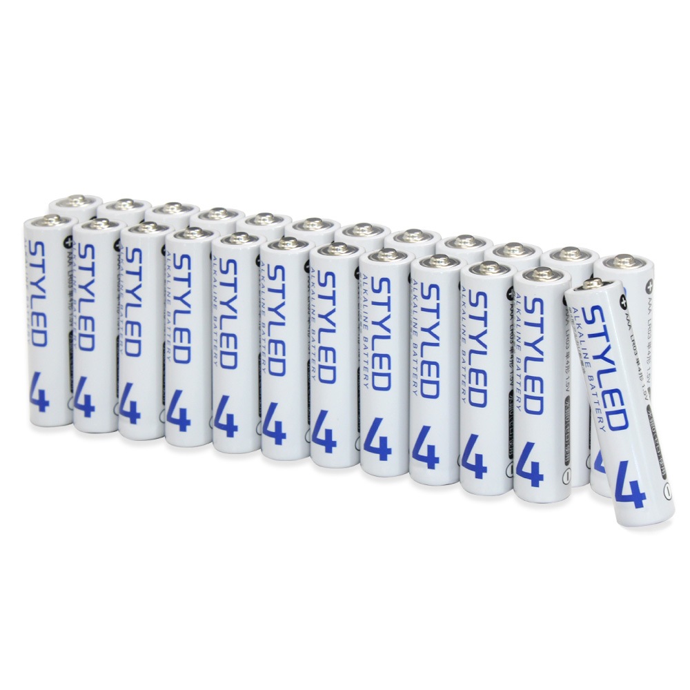 륫괥 ñ4  ñ4 24ܥå ѿ侩10ǯ STYLED