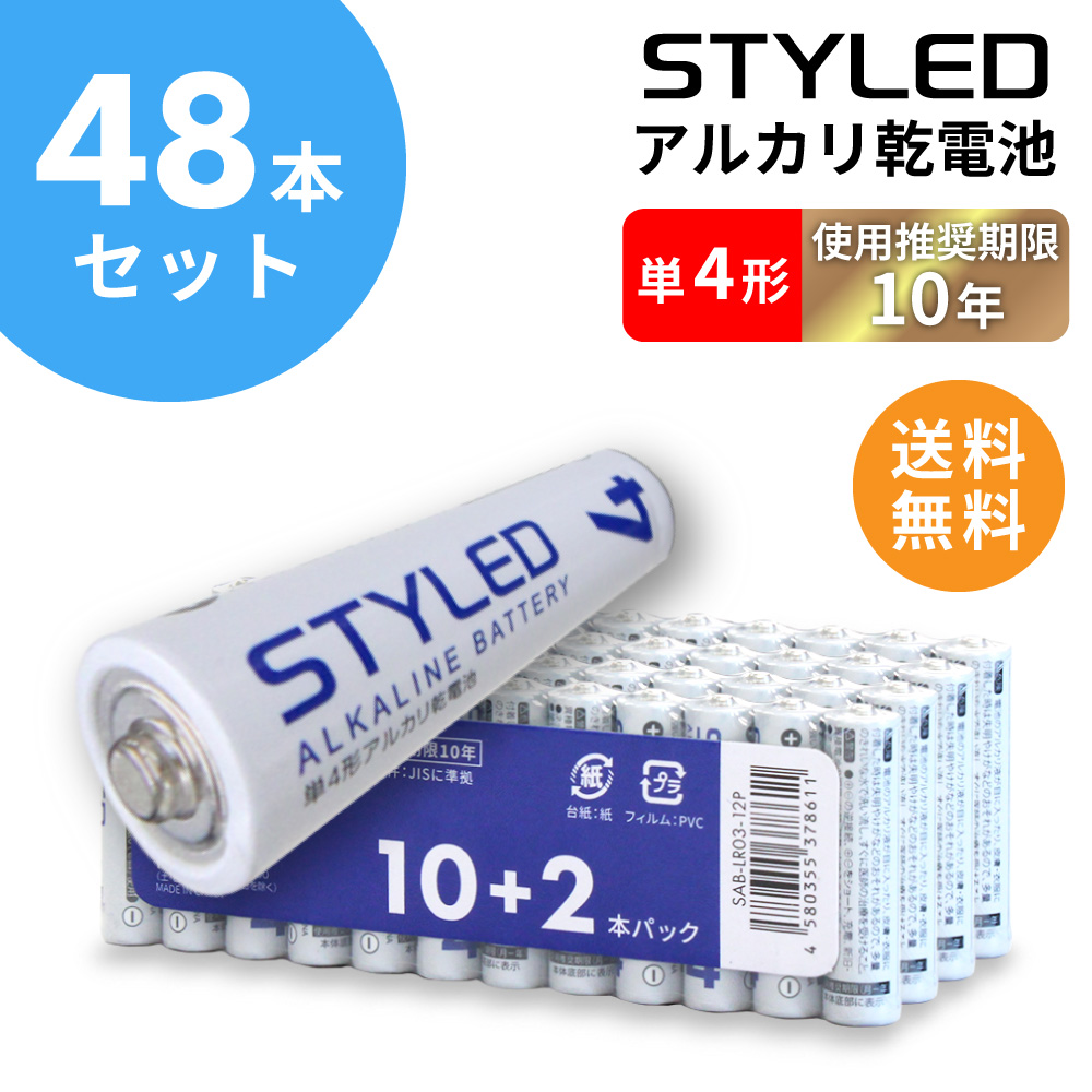 ���륫�괥���� ñ4 ���� ñ4�� 48�ܥ��å� ���ѿ侩����10ǯ STYLED