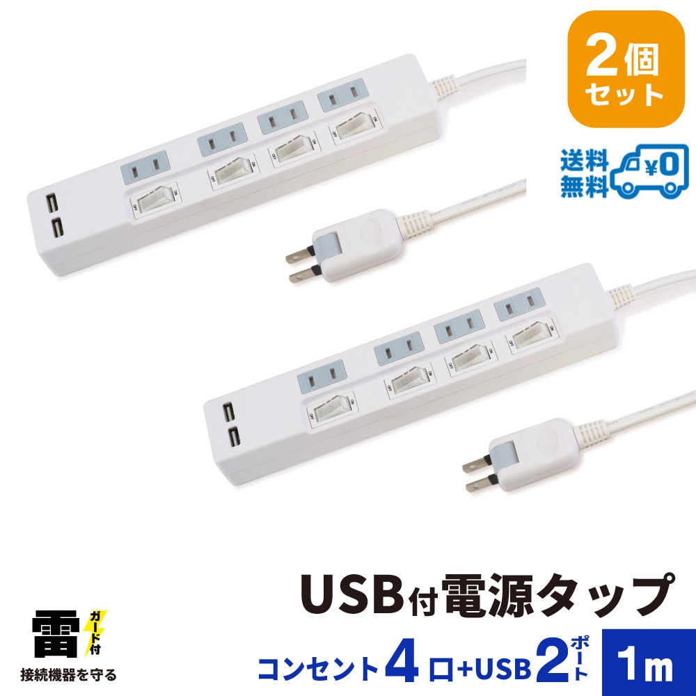 �Ÿ����å� USB�� 1m �륬���� 4�ĸ�  2�ĥ��å� STP4UA2W-1X2��STYLED