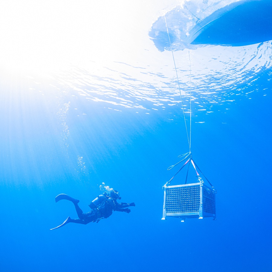 SUBRINA ACT4 2020 /  ANNIVERSARY QUOTESラッピング・ソムリエナイフ付 /赤 シラー フルボディ