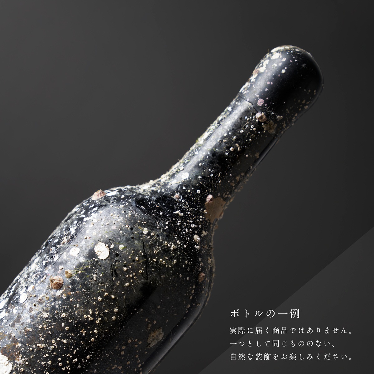 SUBRINA ACT4 2020 /  秋冬 季節限定ラッピング /赤 シラー フルボディ