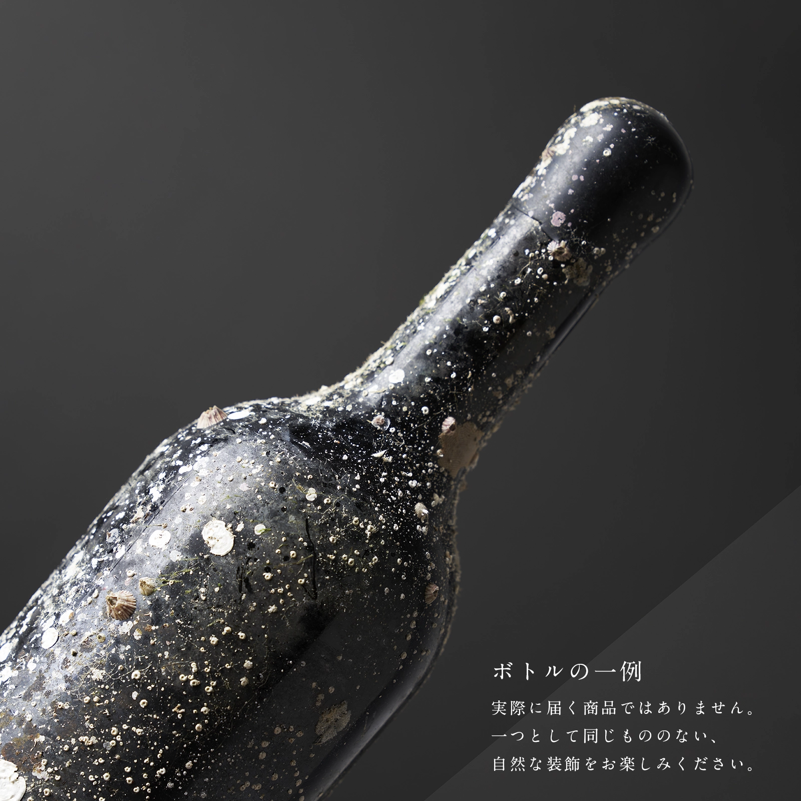 【父の日限定】SUBRINA　2021 ACT5 / 父の日THANKSカード付