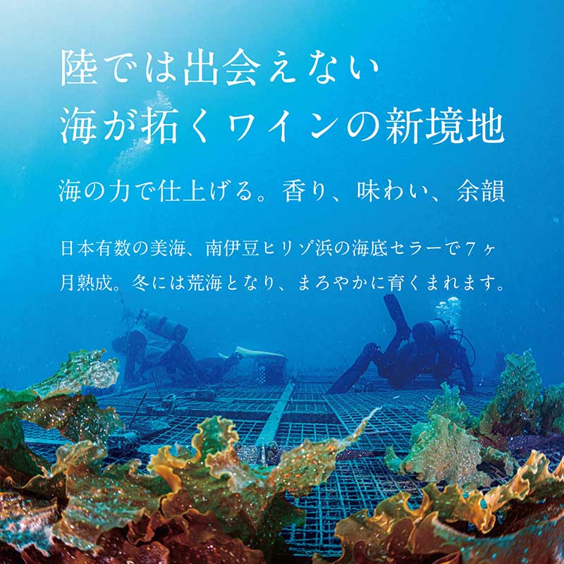 SUBRINA　ACT5 2021［ギフトボックス付］［al］