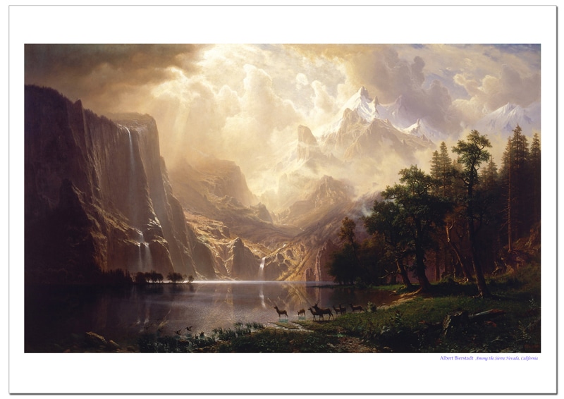 Сȡӥåȡե˥ͥХ졼ݥ