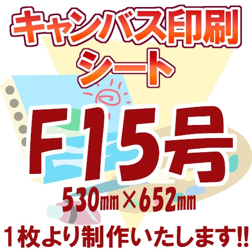 Х/F15/P15/M15/S15ʥȡ