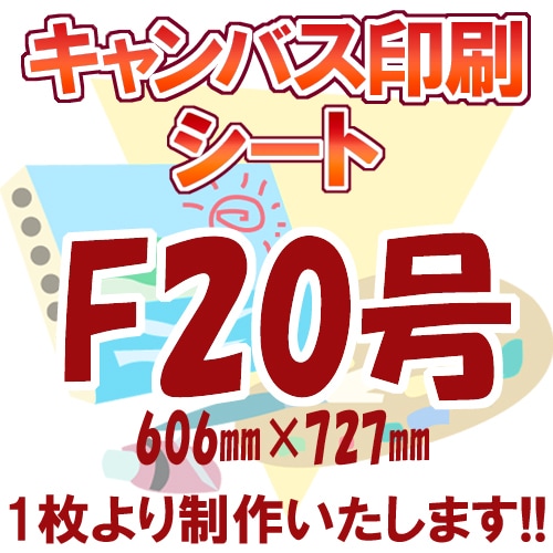 Х/F20/P20/M20/S20ʥȡ
