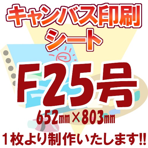�����Х�����/F25/P26/M25/S25�ʥ����ȡ�