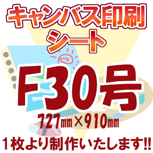 Х/F30/P30/M30/S30ʥȡ