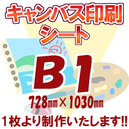 �����Х�����/B1�ʥ����ȡ�