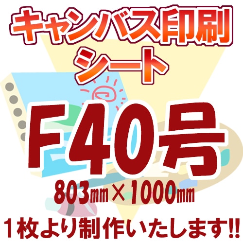 �����Х�����/F40/P40/M40/S40�ʥ����ȡ�