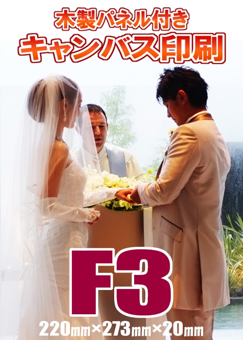 �����Х������ѥͥ�ù���F3(220�ߥ��273�ߥ��20�ߥ�)(P3/M3/S3)�������륫��ܡ��ɡ������Ⱥ��ʡ���ǰ�̿���