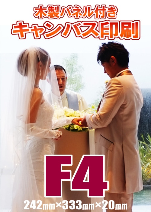 ХѥͥùF4(242ߥ333ߥ20ߥ)(P4/M4/S4)륫ܡɡȺʡǰ̿