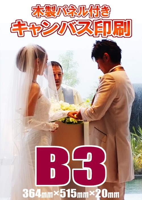 ХѥͥùB3(364ߥ515ߥ20ߥ)륫ܡɡȺʡǰ̿