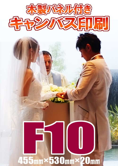 �����Х������ѥͥ�ù��� F10(455�ߥ��530�ߥ��20�ߥ�)(P10/M10/S10)�������륫��ܡ��ɡ������Ⱥ��ʡ���ǰ�̿���