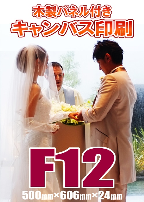 �����Х������ѥͥ�ù��� F12(500�ߥ��606�ߥ��24�ߥ�)(P12/M12/S12)�������륫��ܡ��ɡ������Ⱥ��ʡ���ǰ�̿���