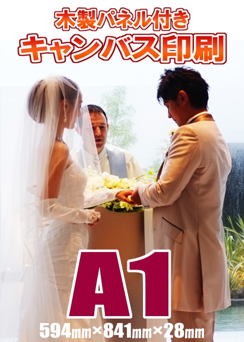 �����Х������ѥͥ�ù���A1(594�ߥ��841�ߥ��28�ߥ�)�������륫��ܡ��ɡ������Ⱥ��ʡ���ǰ�̿���