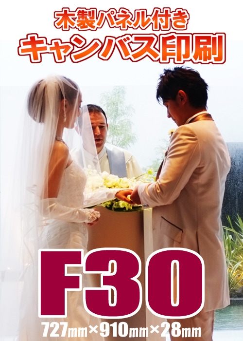 ˡ͸꾦ʡۥХѥͥùաF30(727ߥ910ߥ28ߥ)(P30/M30/S30)