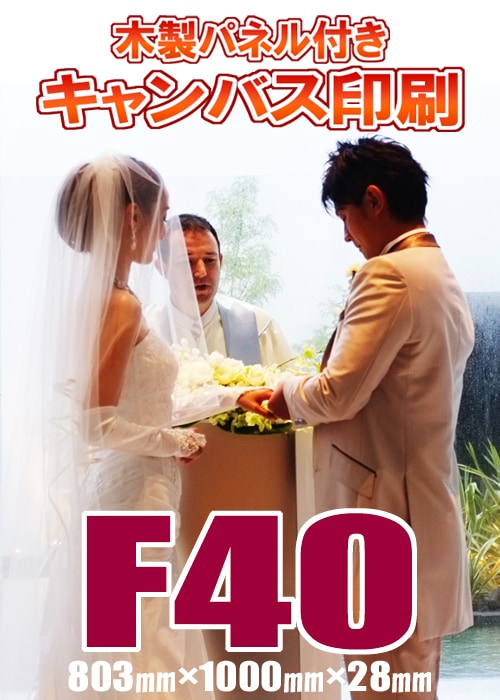 ˡ͸꾦ʡۥХѥͥù 40(803ߥ1000ߥ28ߥ)(P40/M40/S40)륫ܡɡȺʡǰ̿