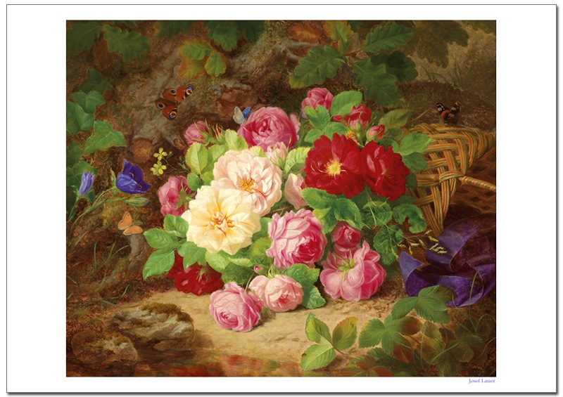 JosefLauer ĳ�ȥХ�  �����졼�ݥ�����