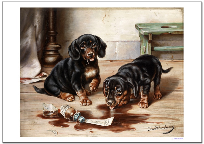 ������饤�إ�ȡ���ɤ�Υ��å����ե�Ȥβ��줿���ޤΤ��������������졼�ݥ�����