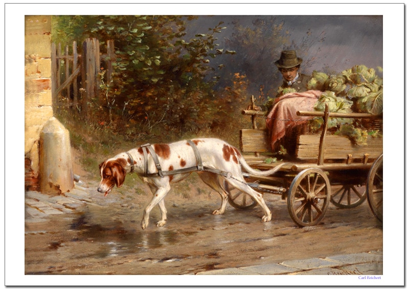 ������饤�إ�ȡ��Ծ�ؤ�ƻ���������졼�ݥ�����