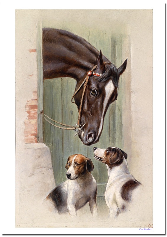 ������饤�إ�ȡ�����ˬ�䡡�������졼�ݥ�����