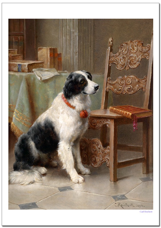 ������饤�إ�ȡ��ǰ��β�²���������졼�ݥ�����