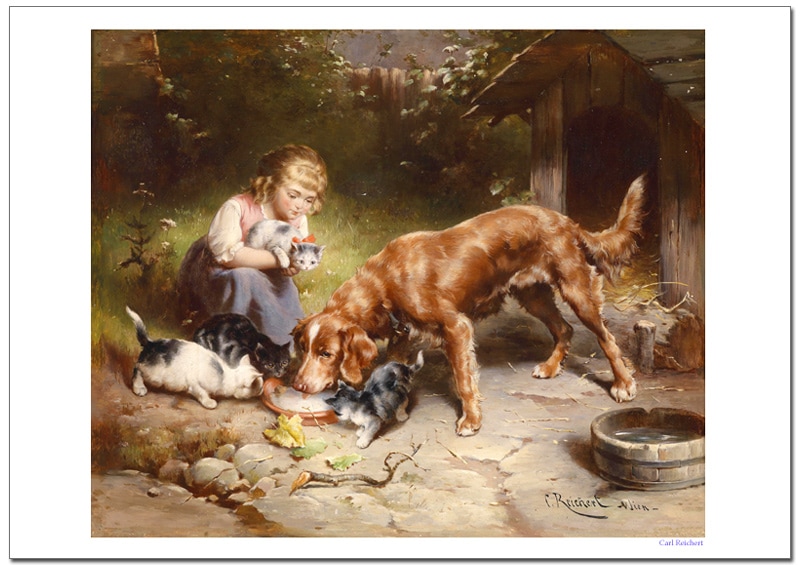 ������饤�إ�ȡ�Dinner��party���������졼�ݥ�����