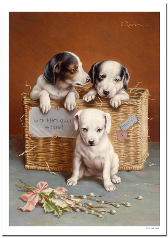 ������饤�إ�ȡ�With heaty good wishes�������졼�ݥ�����