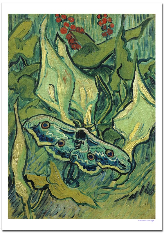 ���åۡ��� �ʥ��졼�ȥԡ����å��⥹�ˡ������졼�ݥ�����