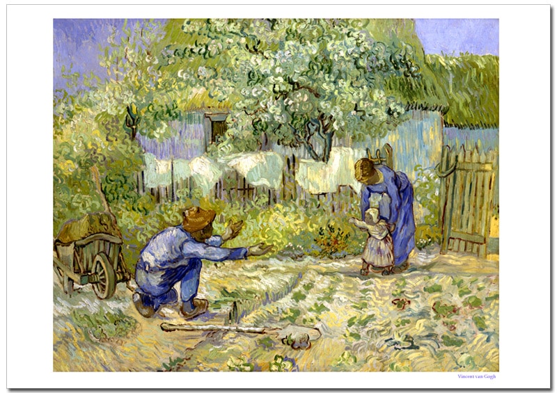 ���åۡ��ǽ�ΰ��⡡�����졼�ݥ�����