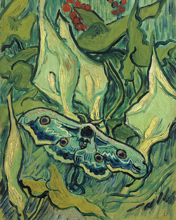 ゴッホ美術館 カビゴン キャンバス ジクレー ゴッホ美術館 カビゴン キャンバス ジクレー 2025年最新】ゴッホ