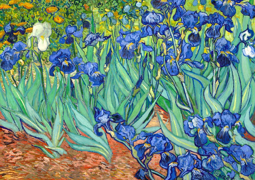 絵画  アートポスター 　静物画  黄菖蒲  アイリス 絵画 アートポスター 静物画 黄菖蒲 アイリス