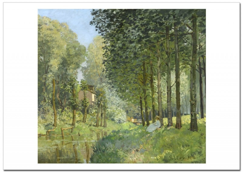 ����ե�åɡ������졼������褤�Ǥε�©Rest along the Stream �����졼�ݥ�����