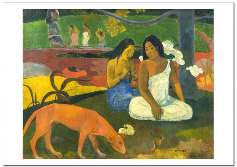 ��������󡡥��쥢�쥢Arearea�������졼�ݥ�����