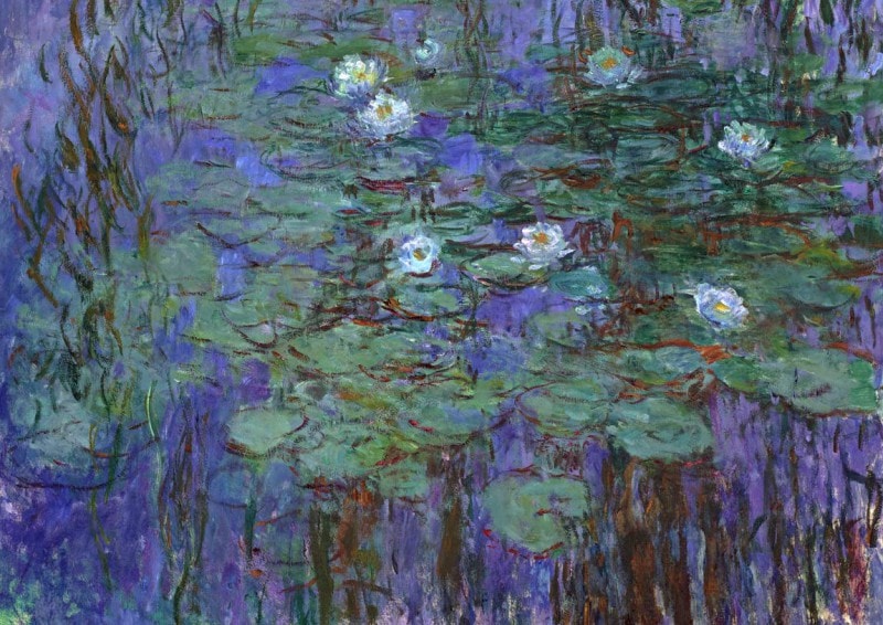  Ŀϡ Blue-Water-Lilies 졼ݥեե̵