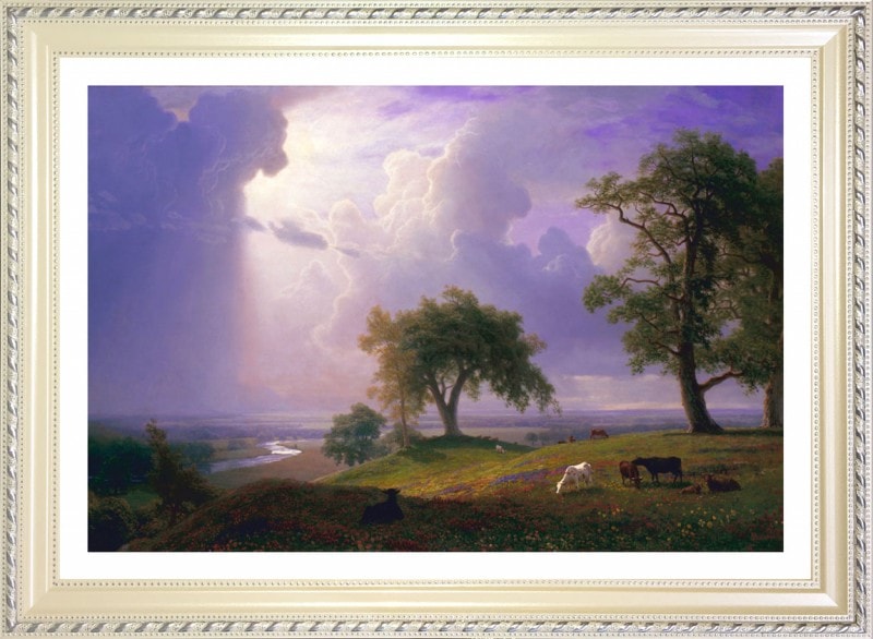 ����С��ȡ��ӥ������åȡ�����ե���˥��ν� California Spring �������졼�ݥ�����������