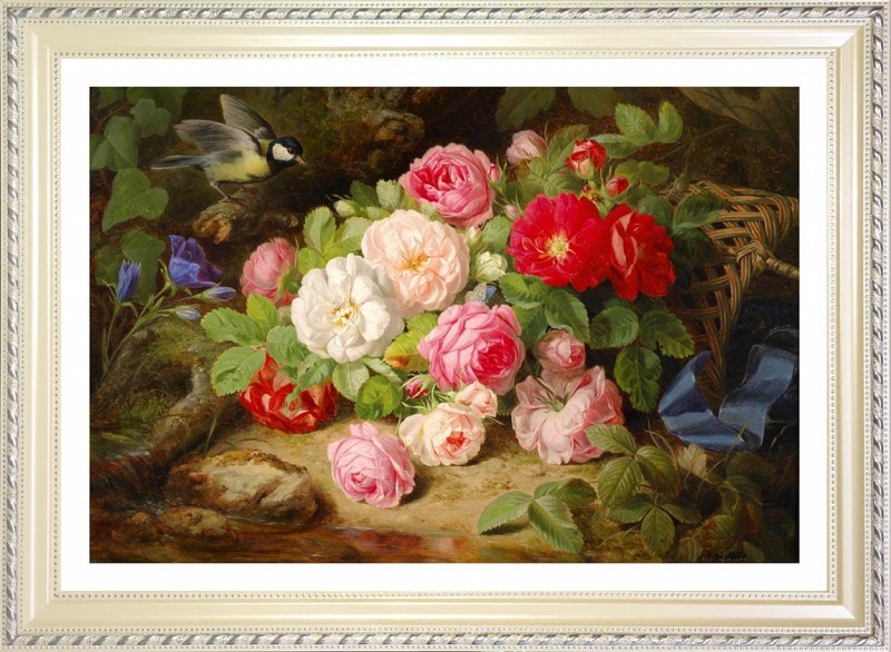 Josef Lauer Ļ���Ĥ���ܥ�ΥХ�ΥХ����åȡ����������졼�ݥ�����������