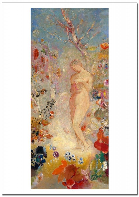 ��ɥ�  �ѥ�ɥ顡�����졼�ݥ�����