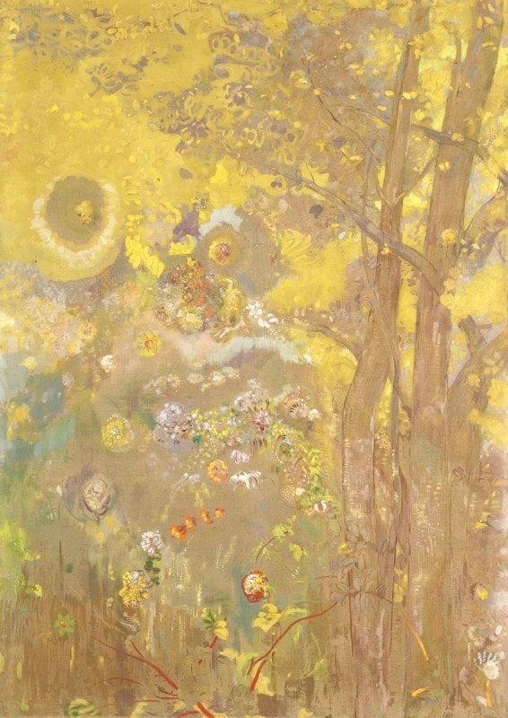 ��ɥ󡡲������طʤ��ڡ��������졼�ݥ��������եե�̵��