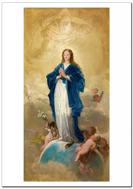 ���䡡̵����θ�ɤ��Immaculate Conception�ˡ��������졼�ݥ�����