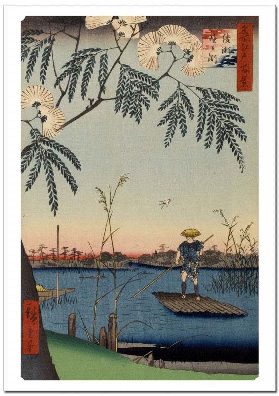 š ̾깾ɴʡ⤬ʥ  졼ݥ