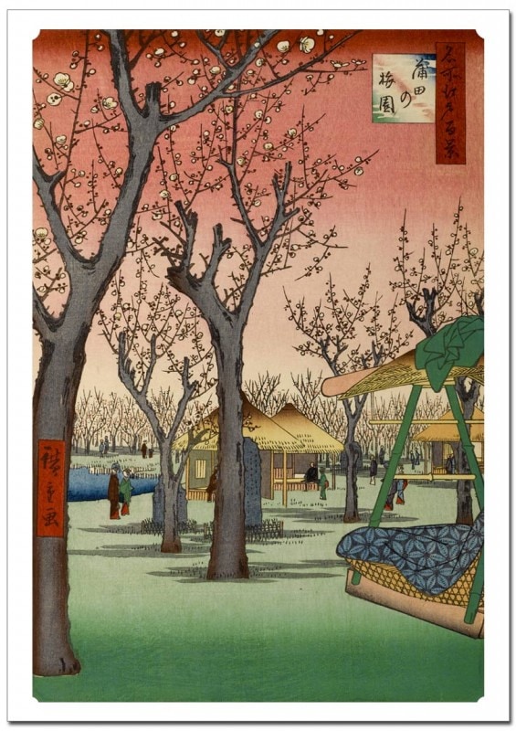 š ̾깾ɴʡĤ߱  졼ݥ