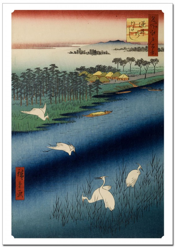 ����š� ̾�깾��ɴ�ʡ��հ�Τ錄��  �������졼�ݥ�����