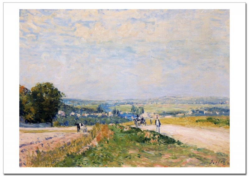 ����ե�åɥ����졼  ���ӥ奤���󤫤���������̤ؤ�ƻ ���������졼�ݥ�����