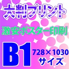 B1�ݥ�����������