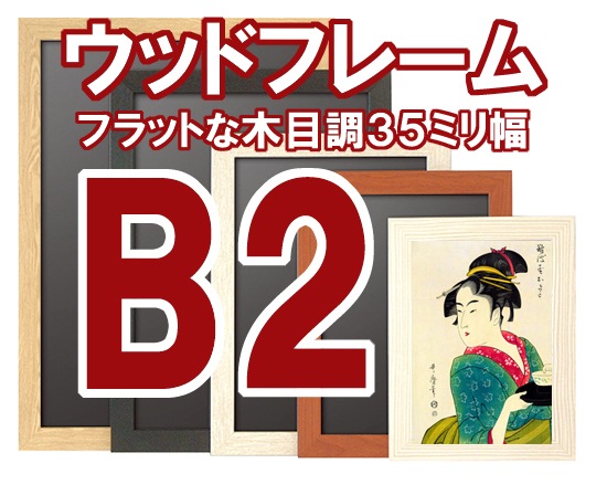�����ݥ������ե졼��35�ߥ���B2 �ڥ᡼����ľ���Τ�������Բġ�