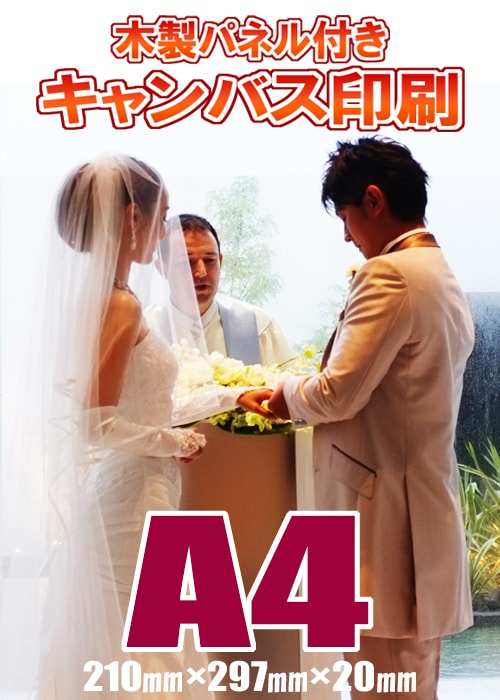 �����Х������ѥͥ�ù��� A4(210�ߥ��297�ߥ��20�ߥ�)�������륫��ܡ��ɡ������Ⱥ��ʡ���ǰ�̿���